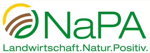 NaPa Logo