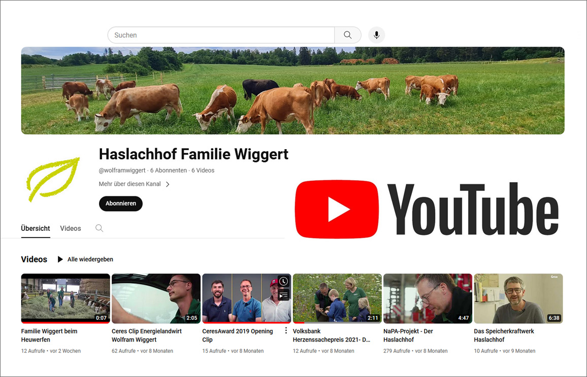 Youtube Startgrafik